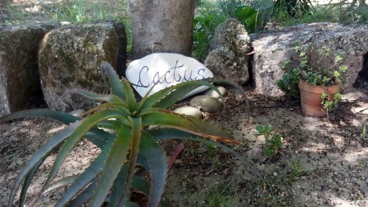 Casa Cerrado Do Cruzeiro Villa Oliveira  Buitenkant foto